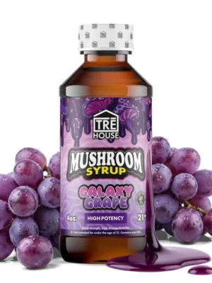 Galaxy Grape Mushroom Syrup