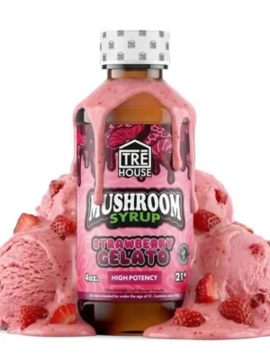 Strawberry Gelato Mushroom Syrup